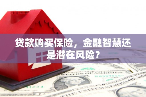 乌丘贷款购买保险，金融智慧还是潜在风险？