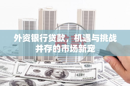 乌丘外资银行贷款，机遇与挑战并存的市场新宠