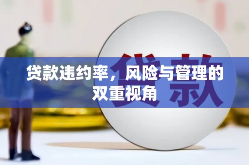 乌丘贷款违约率，风险与管理的双重视角