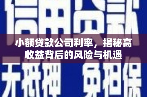 乌丘小额贷款公司利率，揭秘高收益背后的风险与机遇