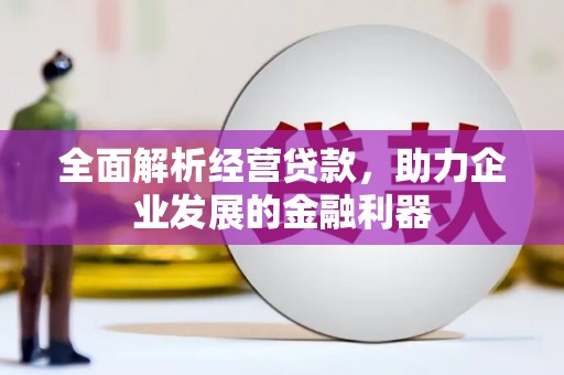 乌丘全面解析经营贷款，助力企业发展的金融利器
