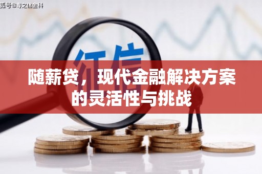 乌丘随薪贷，现代金融解决方案的灵活性与挑战