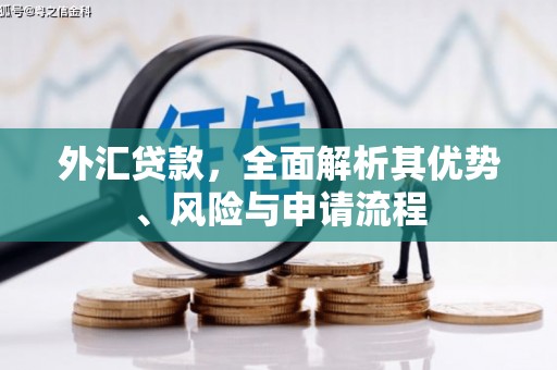 乌丘外汇贷款，全面解析其优势、风险与申请流程
