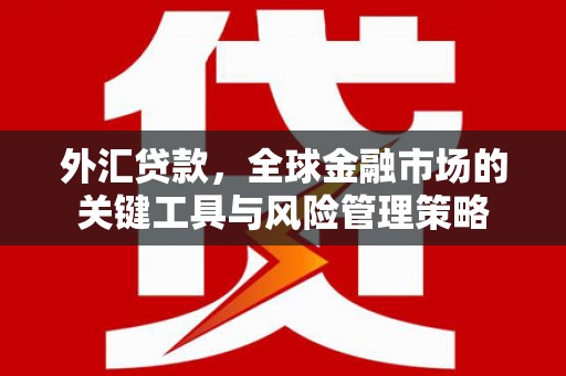 乌丘外汇贷款，全球金融市场的关键工具与风险管理策略
