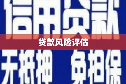 乌丘贷款风险评估