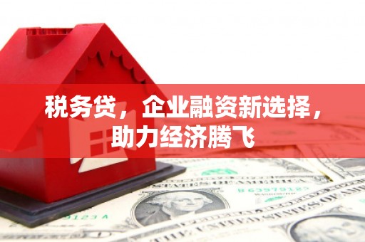 乌丘税务贷，企业融资新选择，助力经济腾飞
