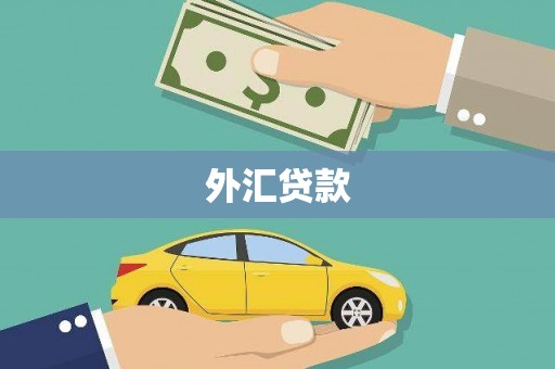 乌丘外汇贷款
