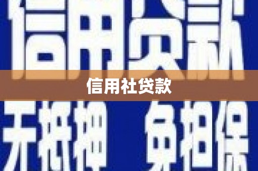 乌丘信用社贷款
