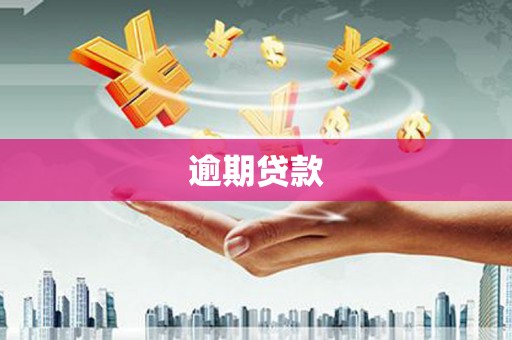 乌丘逾期贷款