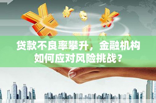 乌丘贷款不良率攀升，金融机构如何应对风险挑战？