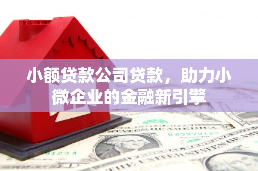 乌丘小额贷款公司贷款，助力小微企业的金融新引擎