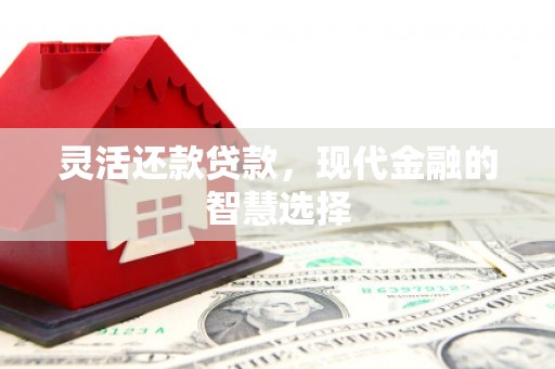 乌丘灵活还款贷款，现代金融的智慧选择