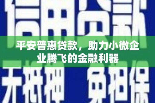 乌丘平安普惠贷款，助力小微企业腾飞的金融利器