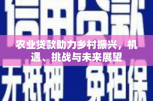 乌丘农业贷款助力乡村振兴，机遇、挑战与未来展望