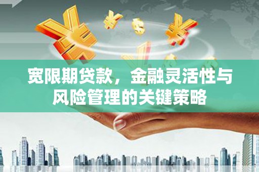 乌丘宽限期贷款，金融灵活性与风险管理的关键策略