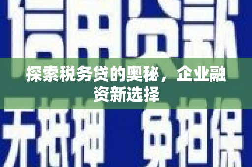 乌丘探索税务贷的奥秘，企业融资新选择