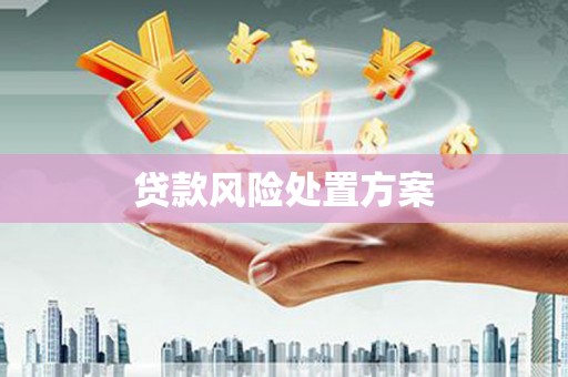 乌丘贷款风险处置方案