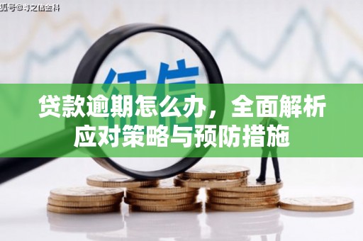 乌丘贷款逾期怎么办，全面解析应对策略与预防措施