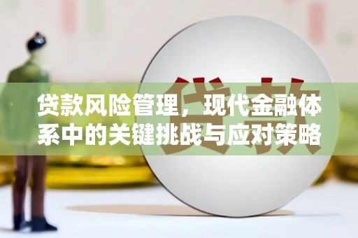乌丘贷款风险管理，现代金融体系中的关键挑战与应对策略