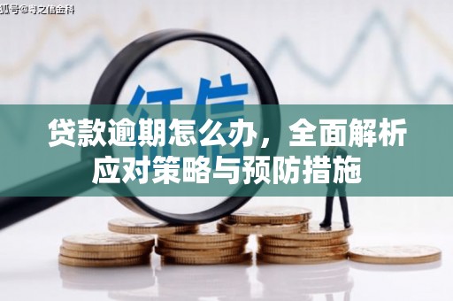 乌丘贷款逾期怎么办，全面解析应对策略与预防措施