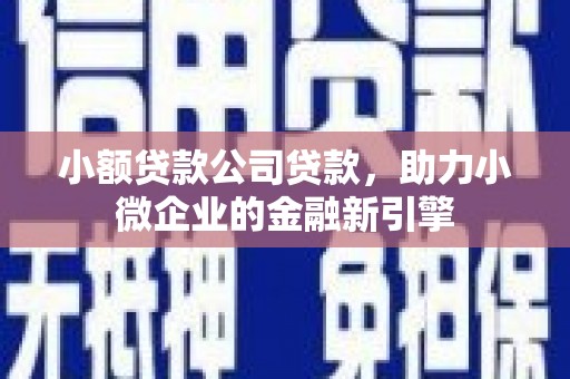 乌丘小额贷款公司贷款，助力小微企业的金融新引擎