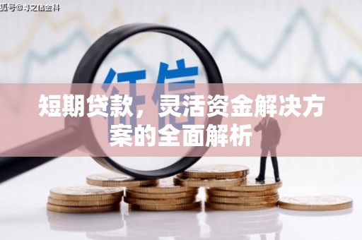 乌丘短期贷款，灵活资金解决方案的全面解析