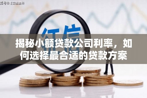 乌丘揭秘小额贷款公司利率，如何选择最合适的贷款方案