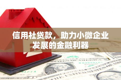 乌丘信用社贷款，助力小微企业发展的金融利器