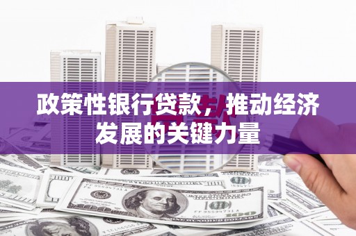 乌丘政策性银行贷款，推动经济发展的关键力量