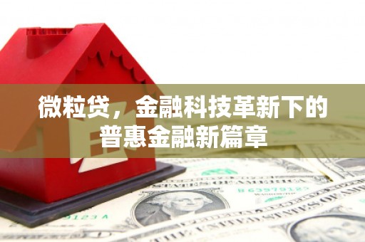 乌丘微粒贷，金融科技革新下的普惠金融新篇章