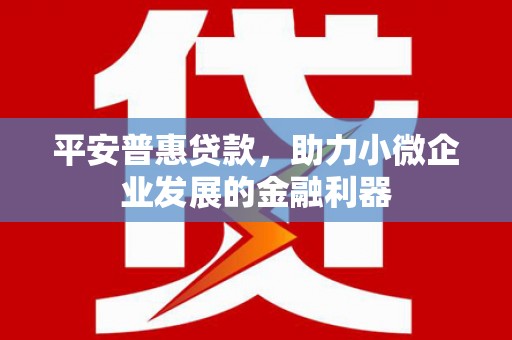 乌丘平安普惠贷款，助力小微企业发展的金融利器