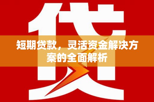乌丘短期贷款，灵活资金解决方案的全面解析