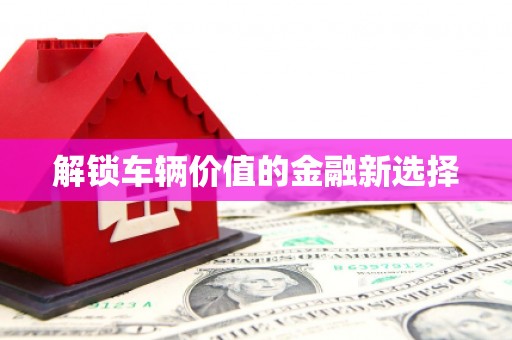 乌丘解锁车辆价值的金融新选择