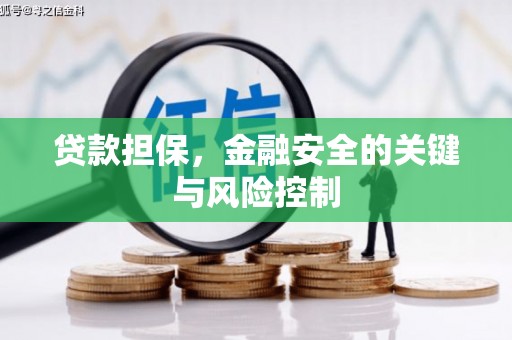 乌丘贷款担保，金融安全的关键与风险控制