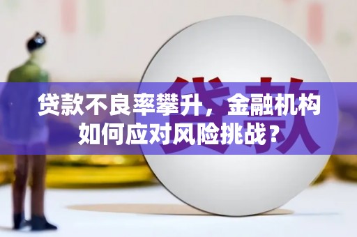 乌丘贷款不良率攀升，金融机构如何应对风险挑战？