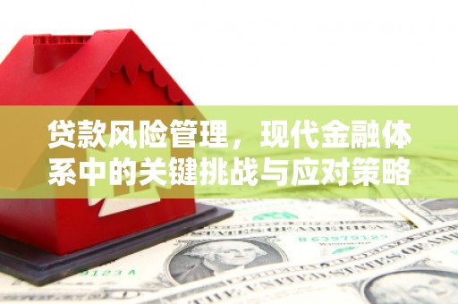 乌丘贷款风险管理，现代金融体系中的关键挑战与应对策略