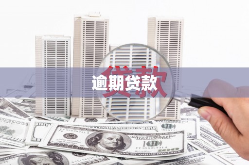 乌丘逾期贷款