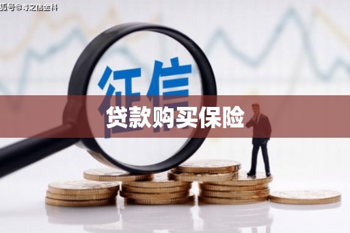 乌丘贷款购买保险